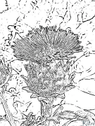 artichoke Coloring Pages To Print